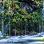 ウオーターサーバーマガジン