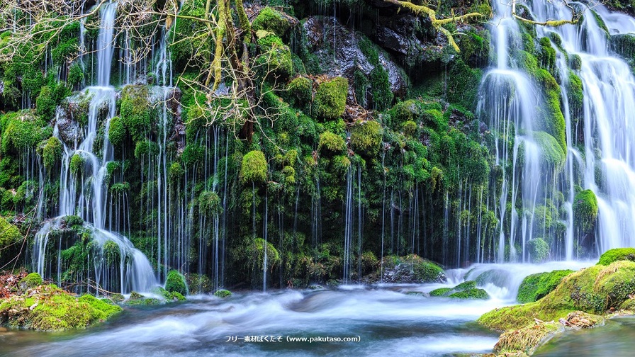 ウオーターサーバーマガジン